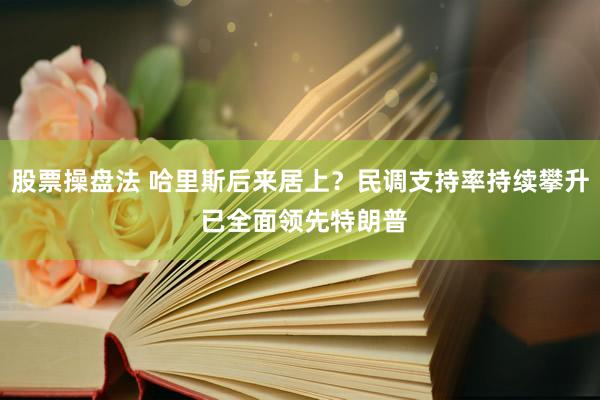 股票操盘法 哈里斯后来居上？民调支持率持续攀升 已全面领先特朗普