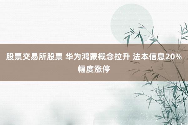 股票交易所股票 华为鸿蒙概念拉升 法本信息20%幅度涨停